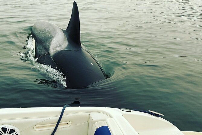 2 Hour Chartered Boat Tour from Deep Cove North Vancouver - Captain Michael Griffiths adds the local context