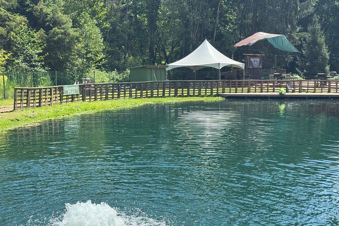 A Relaxing Day of Fishing and Fresh BBQ - Mini Boat Rides and Yard Games
