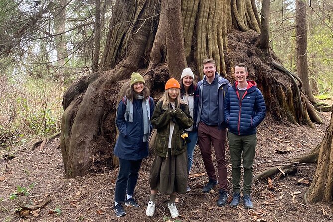 Ancient Trees of Vancouver Walking Tour - Why Stanley Park’s old trees are worth three hours