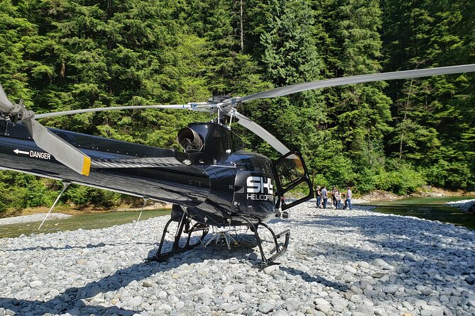 Backcountry Beer Tasting Heli-Tour & Landing (Depart SKY Hangar) - Who will enjoy this most