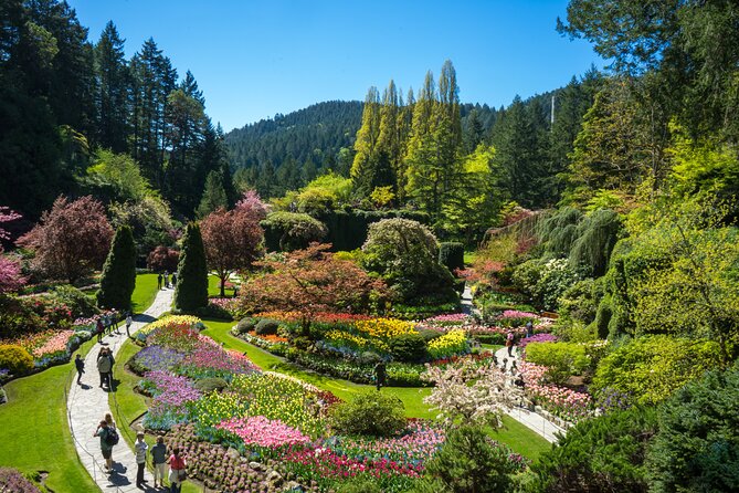 Butchart Gardens and Victoria Sightseeing Tour from Vancouver - The evening ferry back to Vancouver