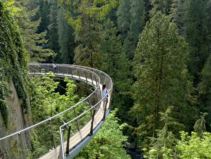 Capilano Br+Grouse Mtn+Dam+Lake&Hatcher/5in1/Small Group/Car - Why this Vancouver tour covers so much ground
