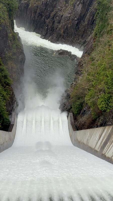Capilano Br+Grouse Mtn+Dam+Lake&Hatcher/5in1/Small Group/Car - Grouse Mountain, grizzly bears, and mountain views