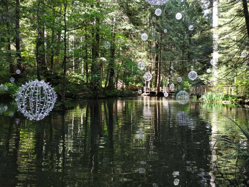 Capilano Br+Grouse Mtn+Dam+Lake&Hatcher/5in1/Small Group/Car - Who should book this experience?