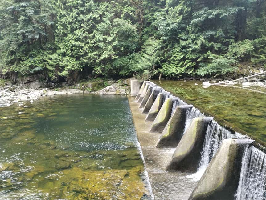 CAPILANO BR+GROUSE Mtn+STANLEY P+DAM+LAKE+HATCHERY/CAR/9in1 - Key points to know before booking