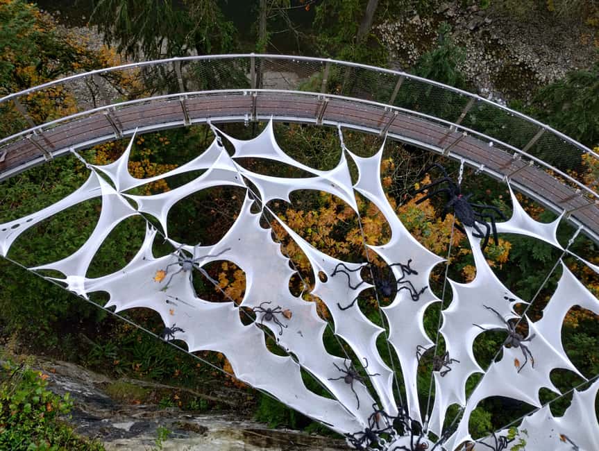 CAPILANO BR+GROUSE Mtn+STANLEY P+DAM+LAKE+HATCHERY/CAR/9in1 - Stanley Park’s totem poles and coastal viewpoints