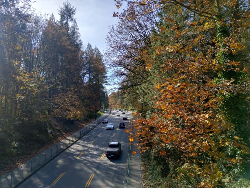 Capilano Suspension Br+Lake+Dam+Hachery/4in1/CAR/Small GROUP - Crossing the 450-foot Capilano Suspension Bridge