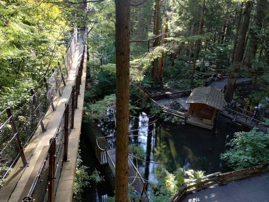 Capilano Suspension Br+Lake+Dam+Hachery/4in1/CAR/Small GROUP - Seeing salmon at Capilano River Hatchery