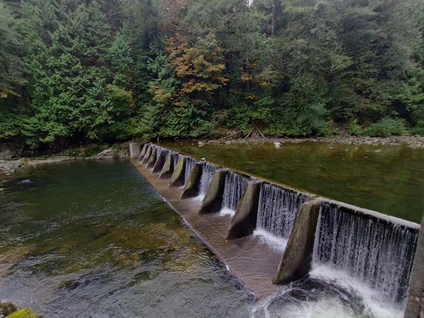 Capilano Suspension Br+Lake+Dam+Hachery/4in1/CAR/Small GROUP - What the small-group car adds