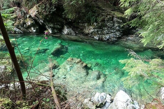 Capilano Suspension Bridge Canyon Lights & 4 Top highlights - The salmon hatchery adds meaning to the river