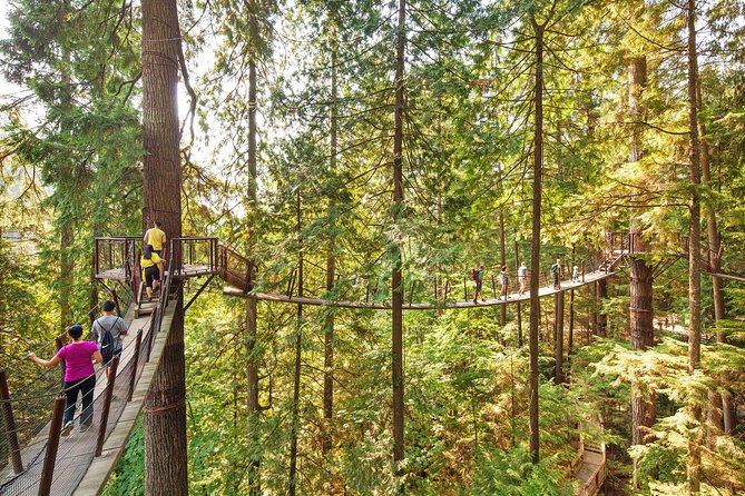 Capilano Suspension Bridge + Grouse Mountain Tour - Grouse Mountain and the Skyride to the Peak of Vancouver