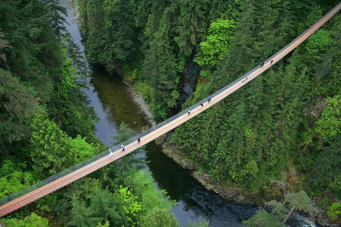 Capilano Suspension Bridge + Grouse Mountain Tour - What the guide adds to the day