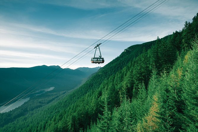 Capilano Suspension Bridge + Grouse Mountain Tour - Capilano Salmon Hatchery and the Pacific salmon cycle