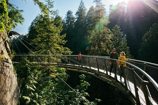 Capilano Suspension Bridge Park Ticket - Rain, Lights, and the Changing Mood of the Park
