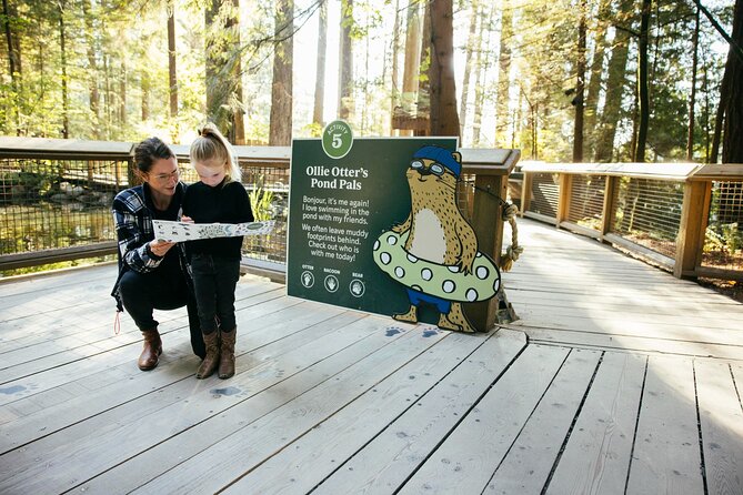 Capilano Suspension Bridge Park Ticket - A Flexible Visit, Not a Guided Tour