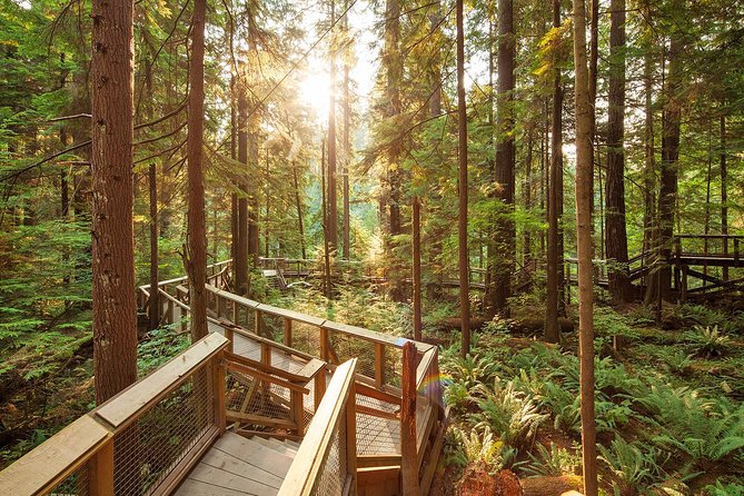 Capilano Suspension Bridge Park Ticket - Is $61.51 a Good Value?