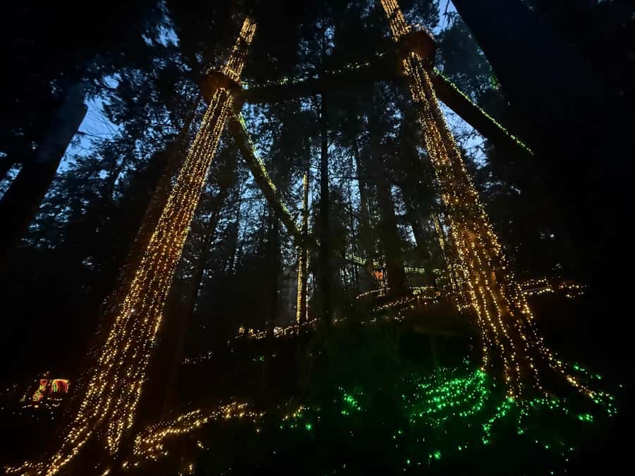Capilano Suspension Bridge/Private/Small Group/By LUX CAR - Key points at a glance