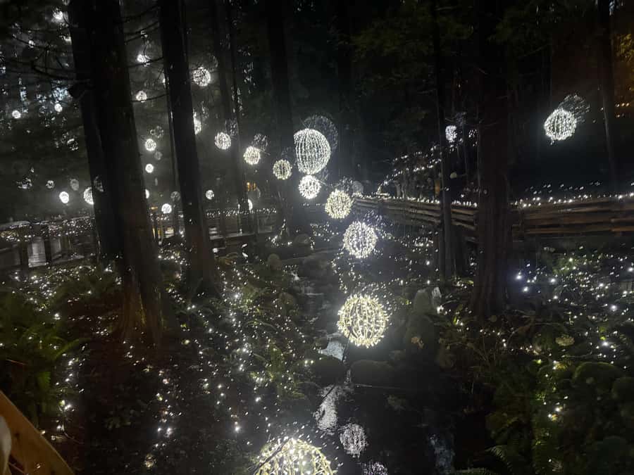 Capilano Suspension Bridge/Private/Small Group/By LUX CAR - Crossing Lions Gate Bridge into the North Shore