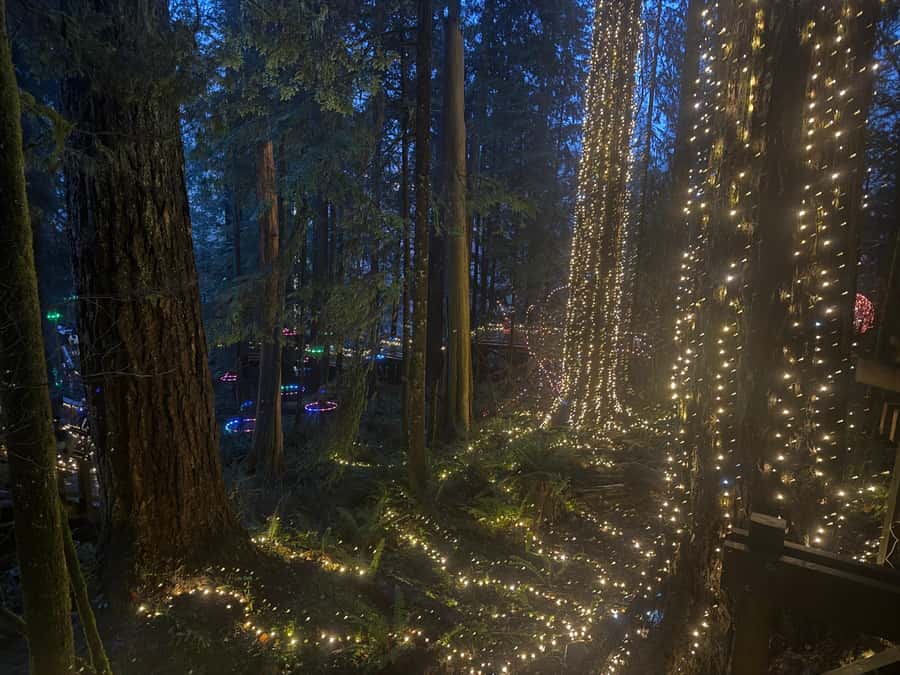 Capilano Suspension Bridge/Private/Small Group/By LUX CAR - Entering Capilano Suspension Bridge Park