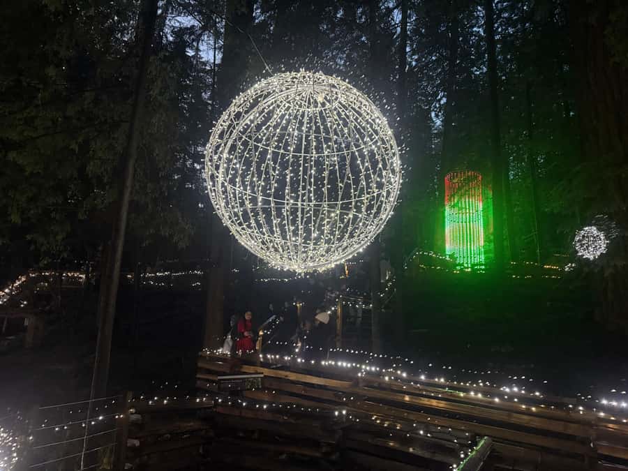 Capilano Suspension Bridge/Private/Small Group/By LUX CAR - Treetops Adventure and the rainforest canopy
