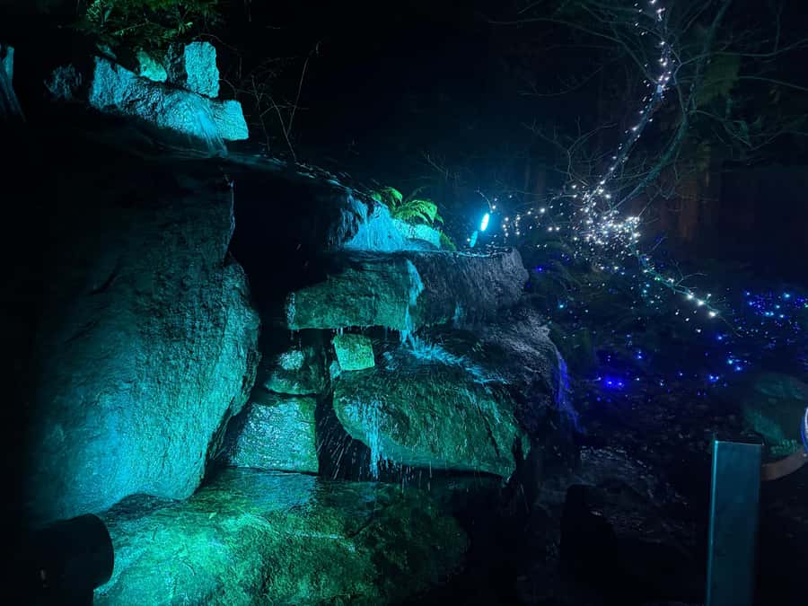 Capilano Suspension Bridge/Private/Small Group/By LUX CAR - Cliffwalk along the granite canyon
