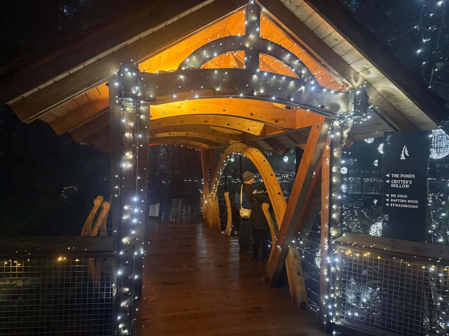 Capilano Suspension Bridge/Private/Small Group/By LUX CAR - Eagle Eye and the Raptor Show