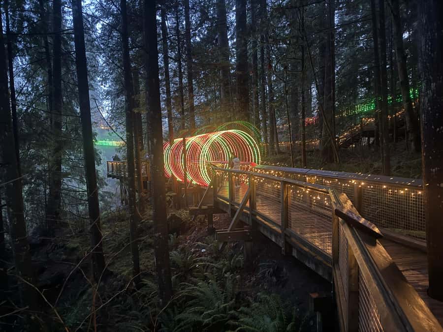 Capilano Suspension Bridge/Private/Small Group/By LUX CAR - How much time should you plan?