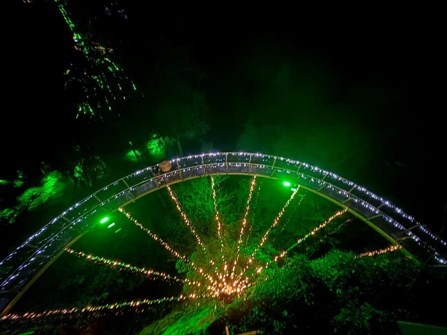 Capilano Suspension Bridge/Private/Small Group/By LUX CAR - Downtown pickup and the ride to Stanley Park