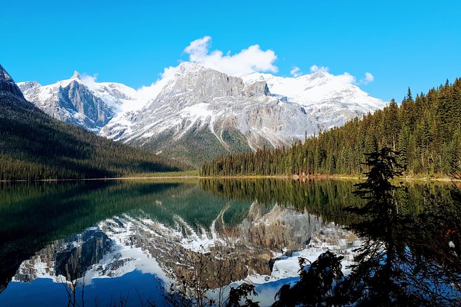 Caribou - Discover the Best of the Rockies (8-Days) - Glaciers and waterfalls in Jasper National Park