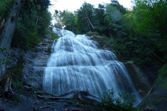Coho - Explore Banff and Jasper National Parks (4-Days) - What the $1,121.24 price really covers