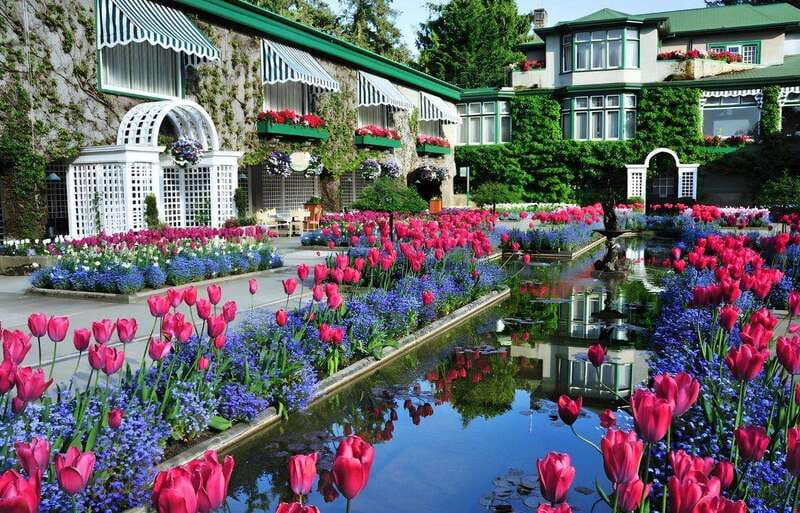 Day Trip from Vancouver to Victoria and Butchart Gardens - Is $247 a fair price?