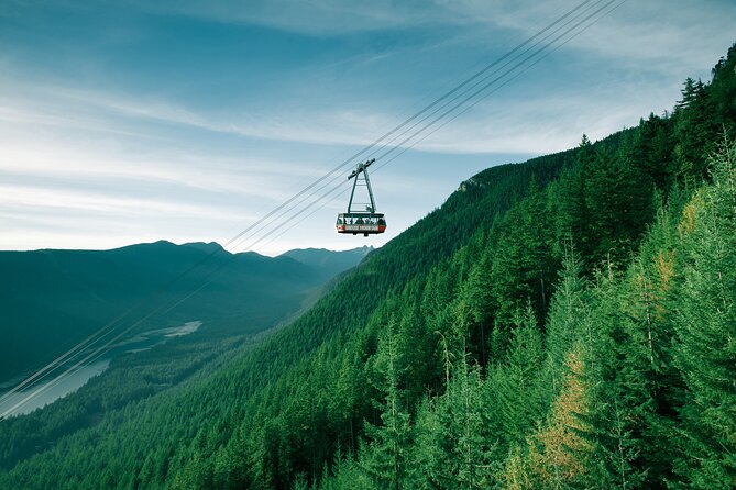 EcoEscape: Luxury & Exclusive Tour Experiences - Stanley Park’s totem poles and Prospect Point