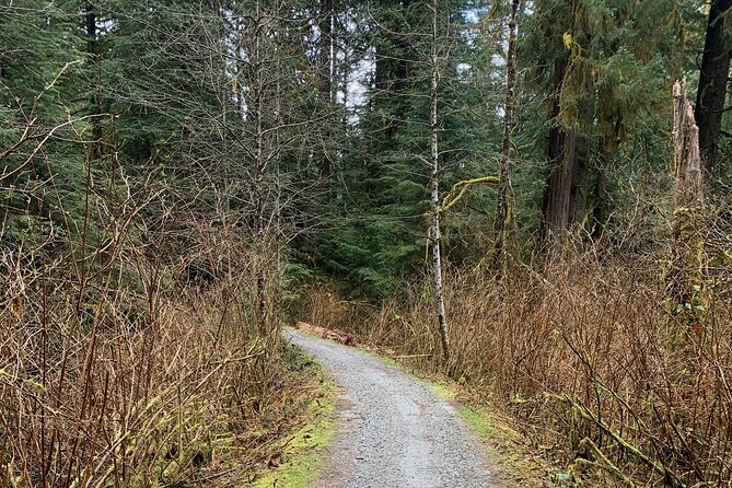 Experience the Beauty of Vancouver’s Forests by Bike/E-Bike - Is the price of $112.13 fair?