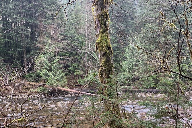 Experience the Beauty of Vancouver’s Forests by Bike/E-Bike - Who will enjoy this ride most?