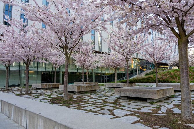 Explore Vancouver: Beaches & Downtown Audio Tour Bundle - What the $14.99 price really buys you