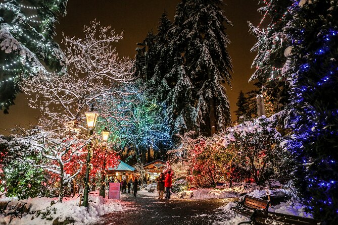Explore Vancouver City & Capilano Suspension Bridge Canyon Lights - Crossing Lions Gate Bridge into North Vancouver