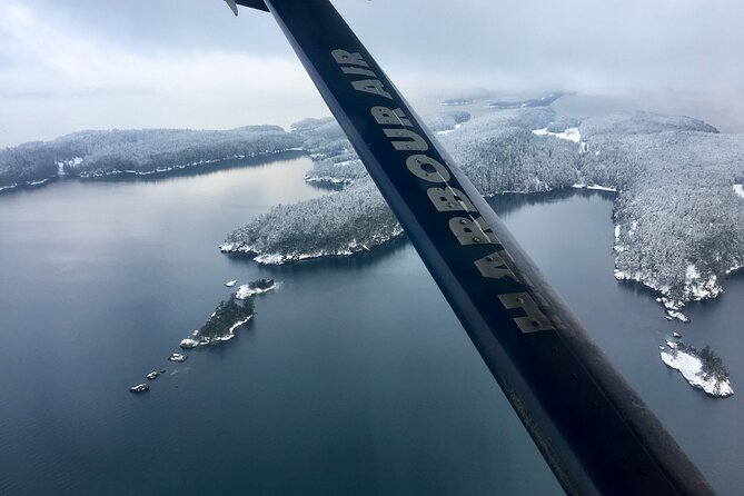 Extended Vancouver Panorama Scenic Seaplane Tour - Weather, Cancellations, and Backup Plans