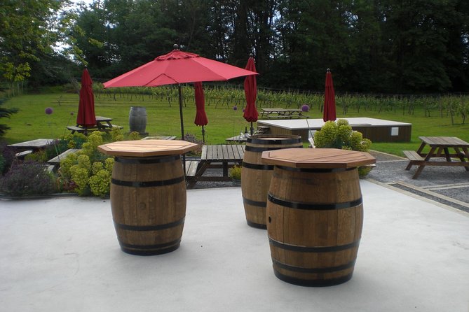 Fraser Valley Social Wine Tasting Private Tour - Lulu Island Winery and Canadian icewine