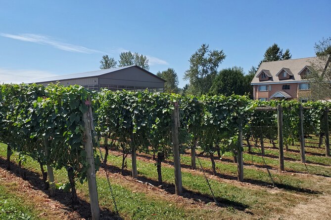 Fraser Valley Wine Tour from Vancouver with a Light Lunch - Township 7: start with a seated tasting