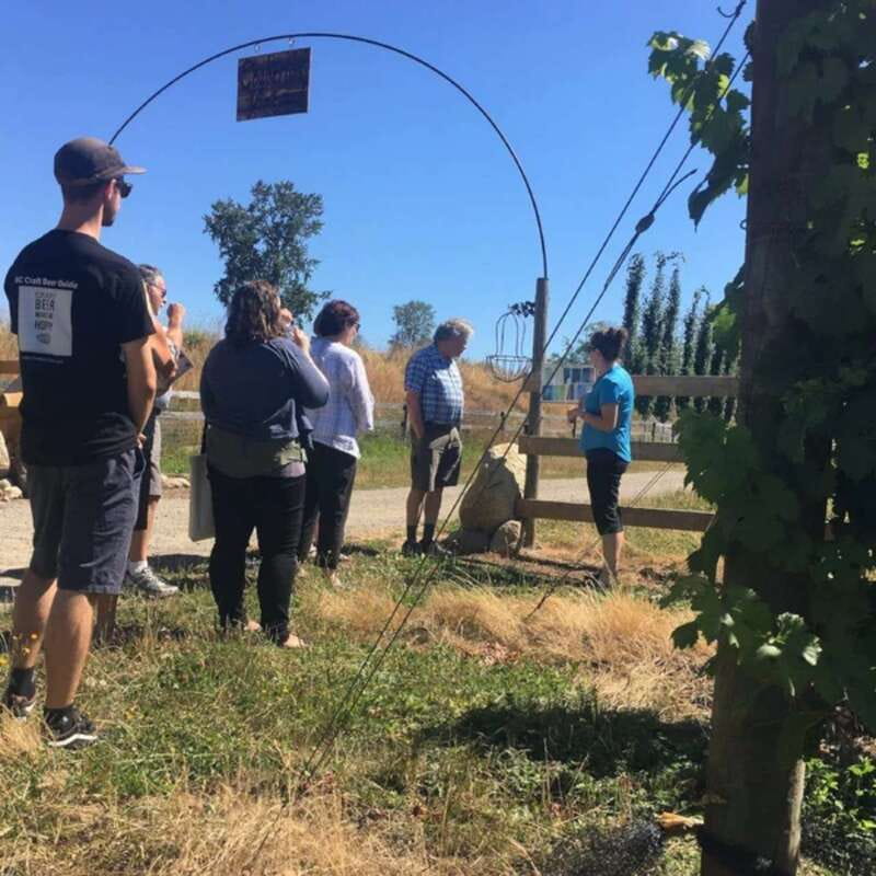 From Vancouver: Fraser Valley Wine Tour with Local Tastings - What the guides add to the day