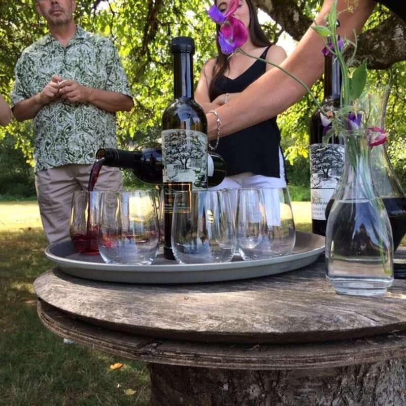 From Vancouver: Fraser Valley Wine Tour with Local Tastings - Timing, comfort, and practical limits