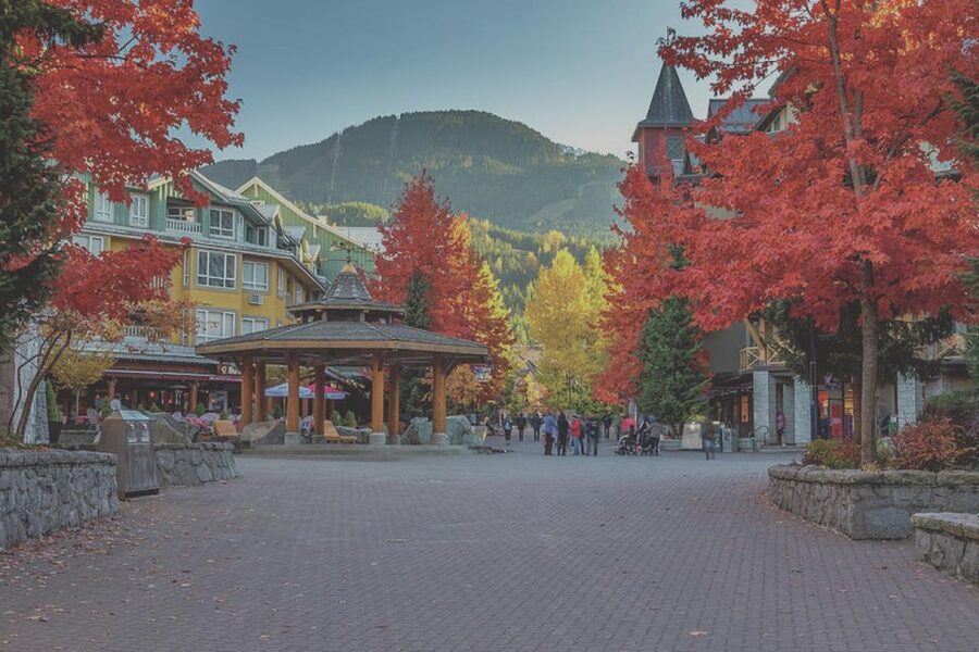 From Vancouver: Whistler and Shannon Falls Private Day Trip - Key points at a glance