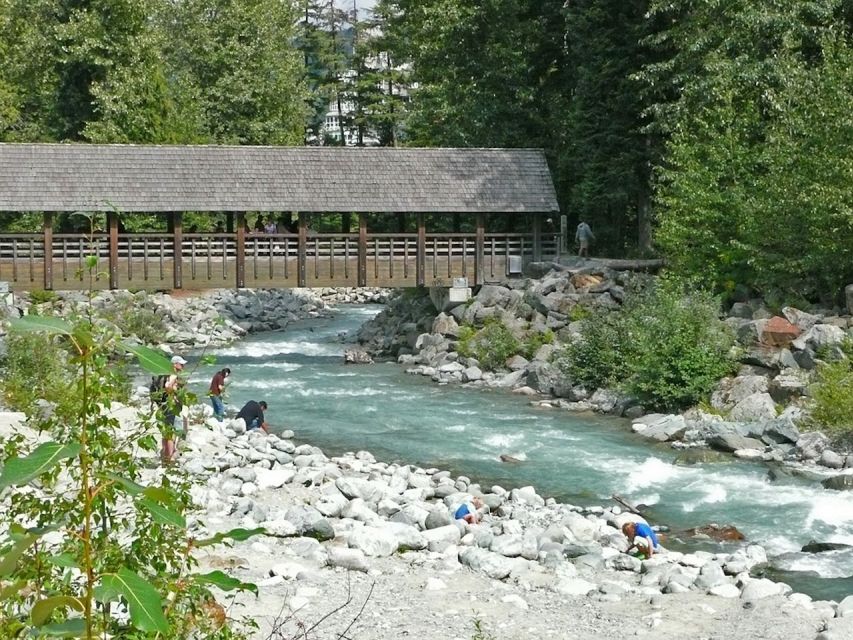 From Vancouver: Whistler and Shannon Falls Private Day Trip - Four hours in Whistler