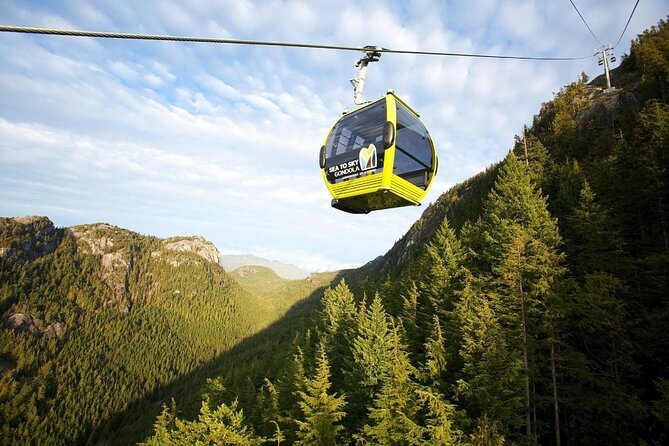 From Vancouver: Whistler & Sea to Sky Gondola with Shannon Falls - Key points at a glance