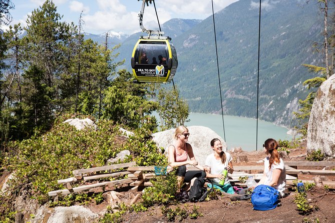 From Vancouver: Whistler & Sea to Sky Gondola with Shannon Falls - Riding the Sea to Sky Gondola above Howe Sound