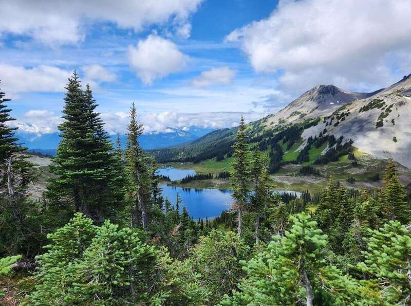 Garibaldi Park/ Panorama Ridge/ Hiking Day Trip - Why Panorama Ridge is worth the effort