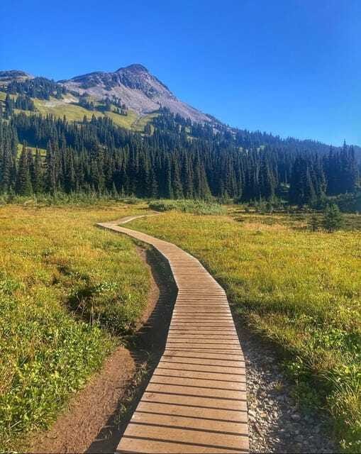 Garibaldi Park/ Panorama Ridge/ Hiking Day Trip - Flower meadows, marmots, and open alpine views