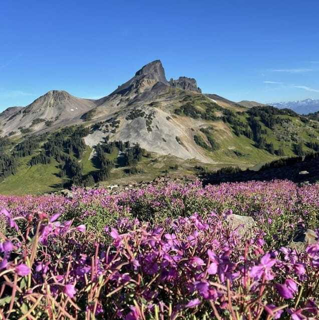 Garibaldi Park/ Panorama Ridge/ Hiking Day Trip - Who this private hike suits best