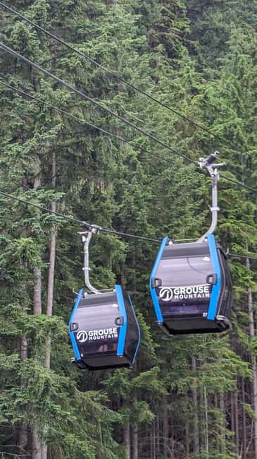 Grouse Mnt+StanleyPark+Hatchery+Cleveland Dam+LynnCanyonTOUR - The salmon hatchery adds meaning to the river