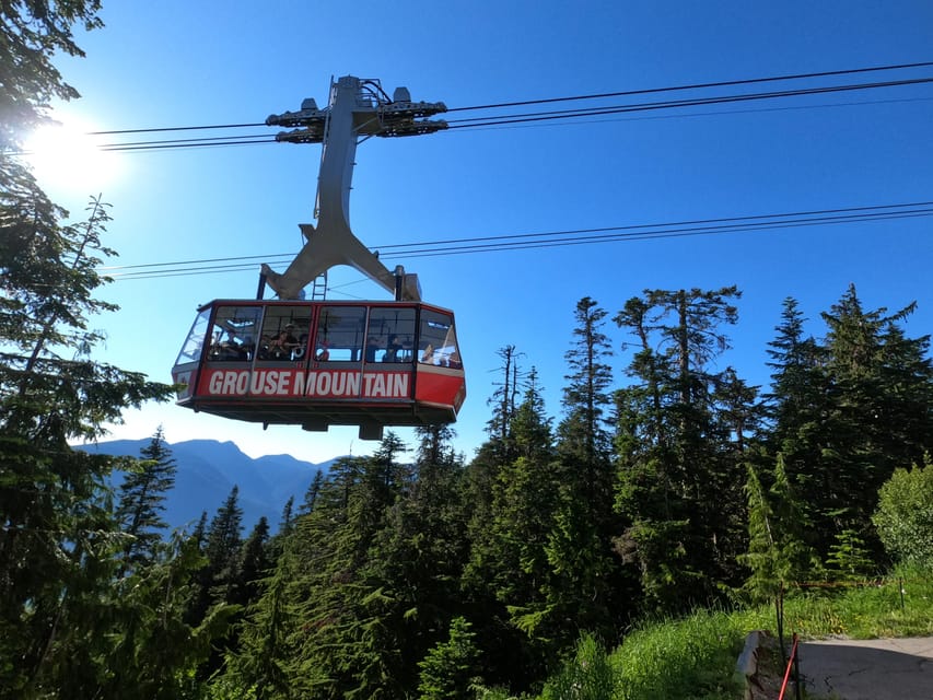Grouse Mnt+StanleyPark+Hatchery+Cleveland Dam+LynnCanyonTOUR - Small-group transport keeps the day manageable